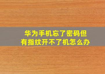 华为手机忘了密码但有指纹开不了机怎么办