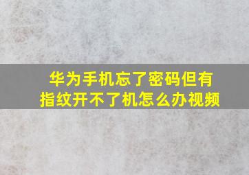 华为手机忘了密码但有指纹开不了机怎么办视频