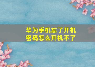 华为手机忘了开机密码怎么开机不了