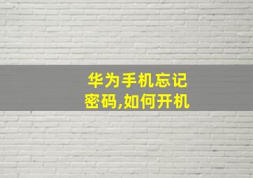 华为手机忘记密码,如何开机