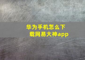 华为手机怎么下载网易大神app