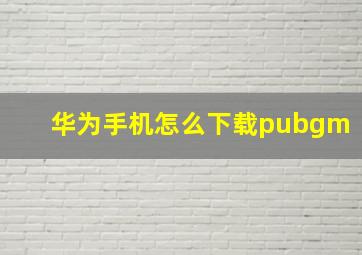 华为手机怎么下载pubgm