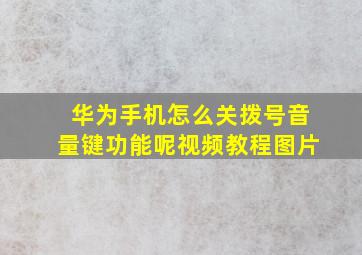 华为手机怎么关拨号音量键功能呢视频教程图片