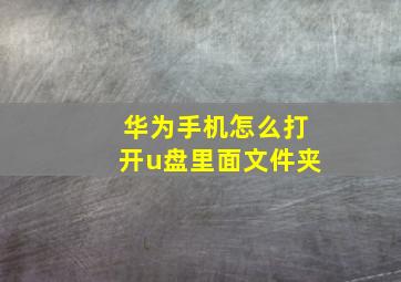 华为手机怎么打开u盘里面文件夹