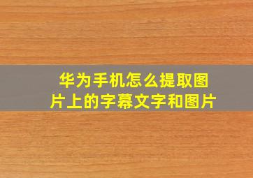 华为手机怎么提取图片上的字幕文字和图片