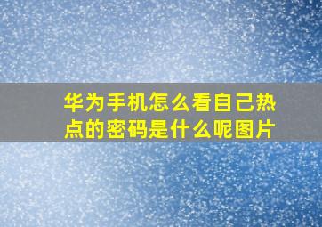 华为手机怎么看自己热点的密码是什么呢图片