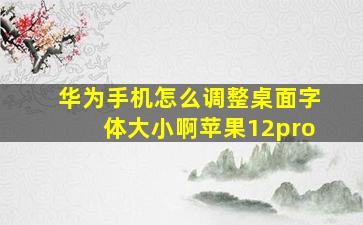 华为手机怎么调整桌面字体大小啊苹果12pro