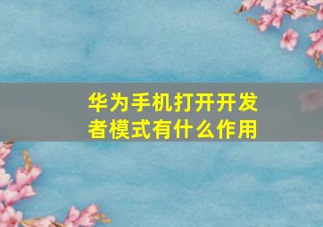 华为手机打开开发者模式有什么作用