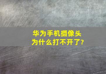 华为手机摄像头为什么打不开了?