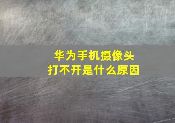 华为手机摄像头打不开是什么原因