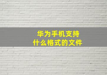 华为手机支持什么格式的文件