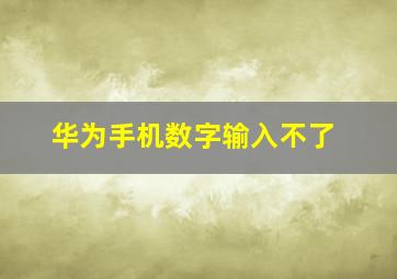 华为手机数字输入不了