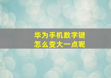 华为手机数字键怎么变大一点呢