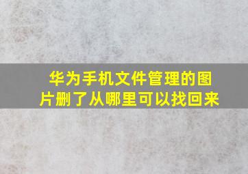 华为手机文件管理的图片删了从哪里可以找回来