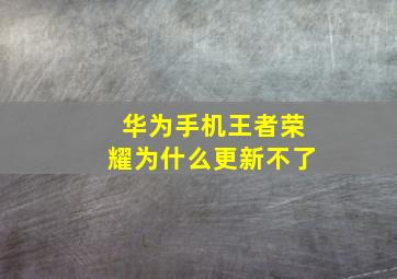 华为手机王者荣耀为什么更新不了