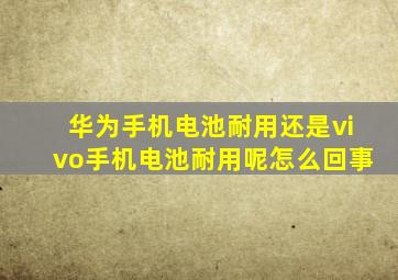 华为手机电池耐用还是vivo手机电池耐用呢怎么回事