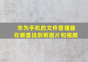 华为手机的文件管理器在哪里找到啊图片和视频