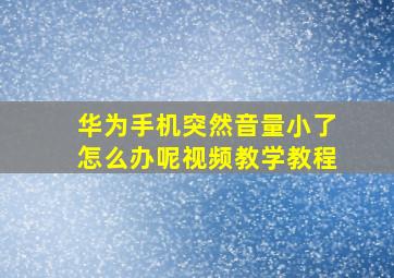 华为手机突然音量小了怎么办呢视频教学教程