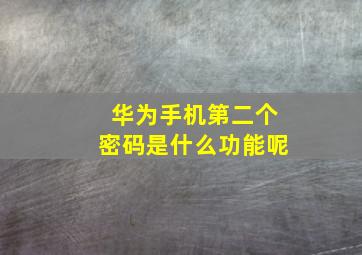 华为手机第二个密码是什么功能呢