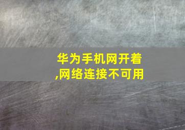 华为手机网开着,网络连接不可用