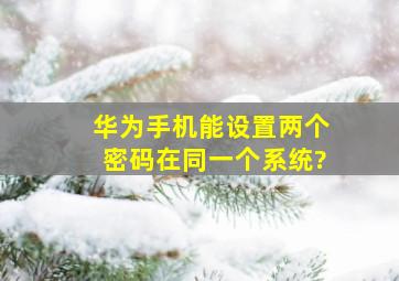 华为手机能设置两个密码在同一个系统?