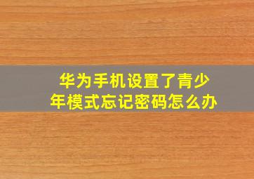 华为手机设置了青少年模式忘记密码怎么办