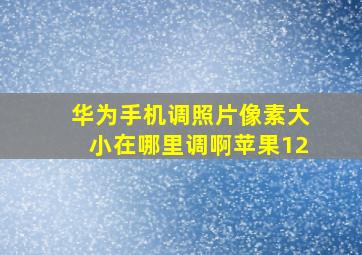 华为手机调照片像素大小在哪里调啊苹果12