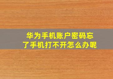 华为手机账户密码忘了手机打不开怎么办呢