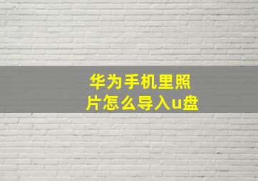 华为手机里照片怎么导入u盘