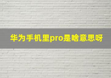 华为手机里pro是啥意思呀