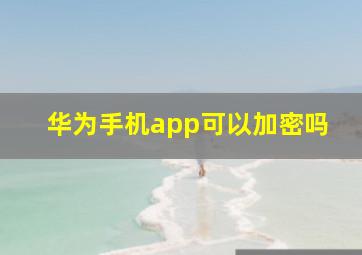 华为手机app可以加密吗