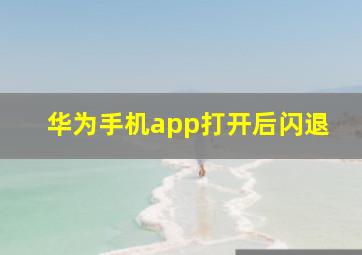 华为手机app打开后闪退