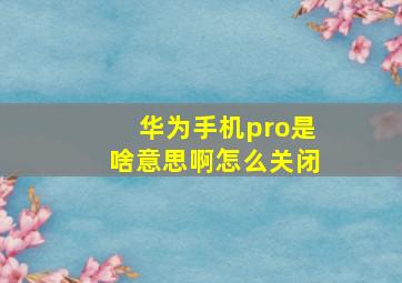 华为手机pro是啥意思啊怎么关闭