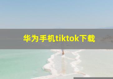 华为手机tiktok下载