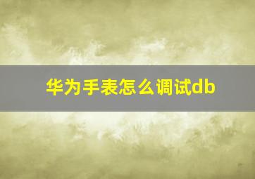 华为手表怎么调试db