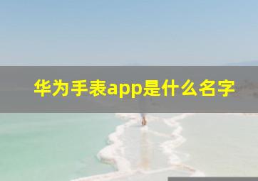 华为手表app是什么名字