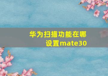 华为扫描功能在哪设置mate30