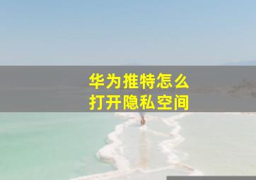 华为推特怎么打开隐私空间