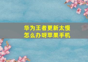 华为王者更新太慢怎么办呀苹果手机