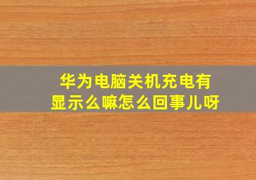 华为电脑关机充电有显示么嘛怎么回事儿呀