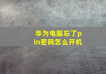 华为电脑忘了pin密码怎么开机