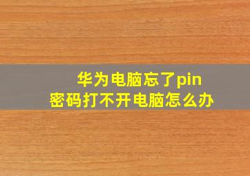 华为电脑忘了pin密码打不开电脑怎么办