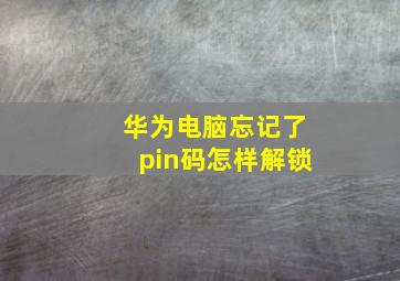 华为电脑忘记了pin码怎样解锁