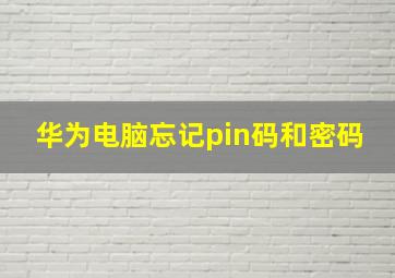 华为电脑忘记pin码和密码