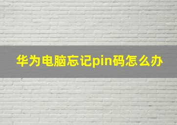 华为电脑忘记pin码怎么办