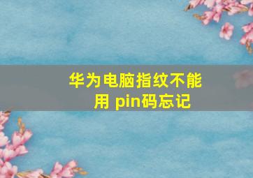 华为电脑指纹不能用 pin码忘记