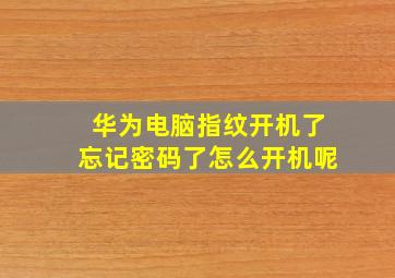 华为电脑指纹开机了忘记密码了怎么开机呢