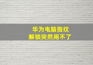 华为电脑指纹解锁突然用不了