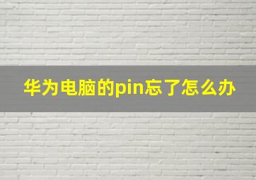 华为电脑的pin忘了怎么办