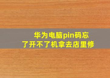 华为电脑pin码忘了开不了机拿去店里修